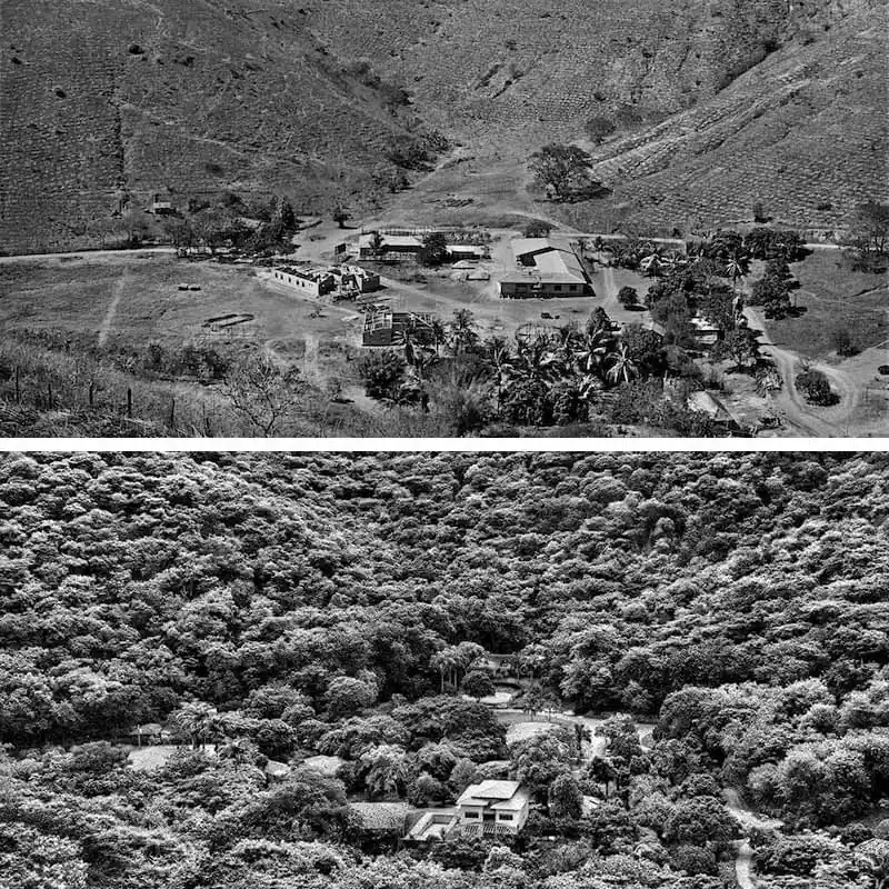 Instituto Terra - Antes y después